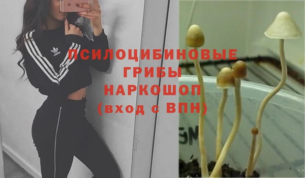 мескалин Ладушкин