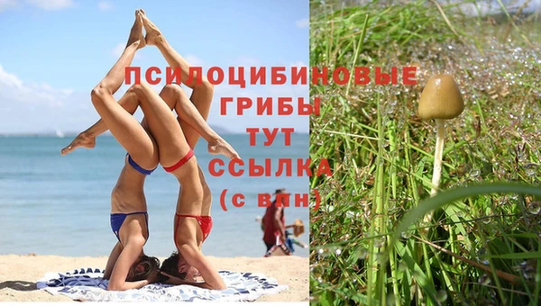 мескалин Ладушкин