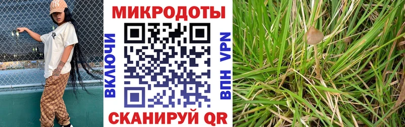 Галлюциногенные грибы GOLDEN TEACHER  Купить где  Красноуральск 